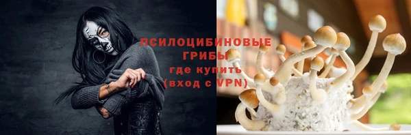 гидропоника Алзамай